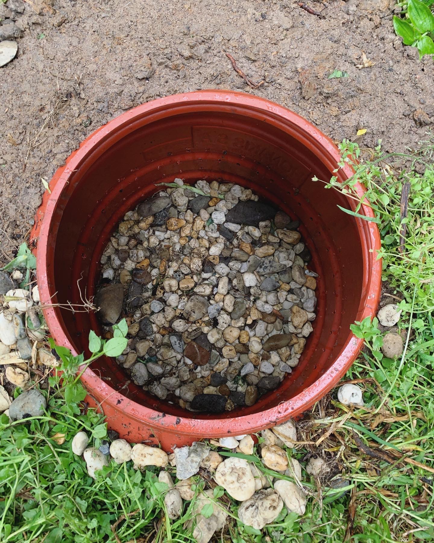 DIY Dog Waste Digester The Barefoot Pear